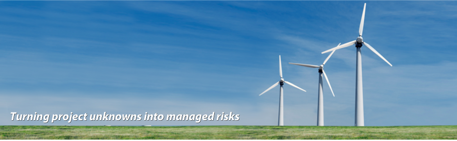 Project Risk Management