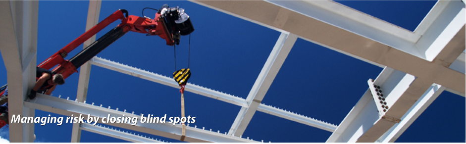 Project Risk Management